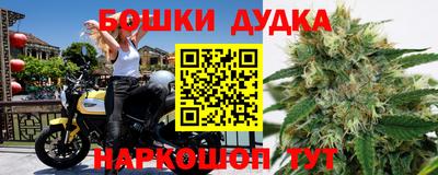 прущие грибы Мариинск