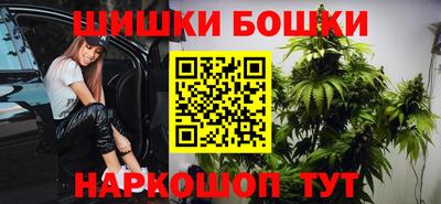 прущие грибы Мариинск