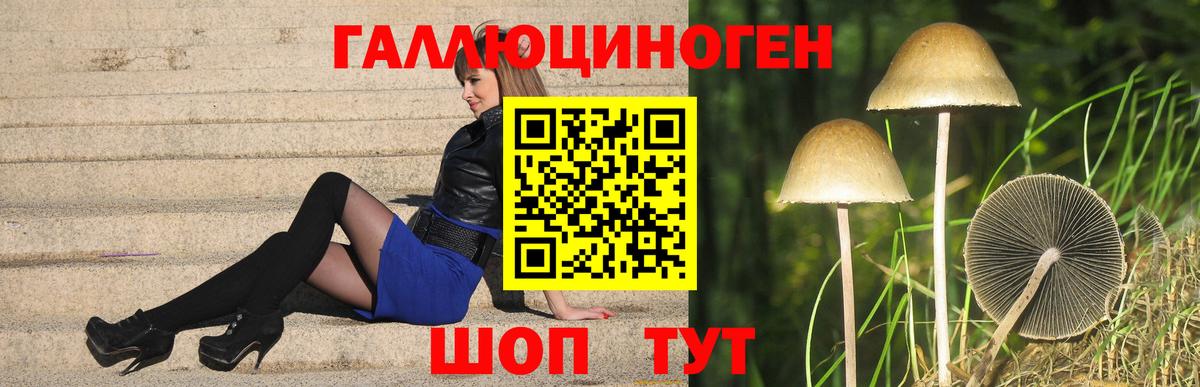 Златоуст  хочу наркоту  Псилоцибиновые грибы мухоморы  Вход с VPN  Псилоцибиновые грибы GOLDEN TEACHER 